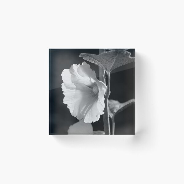 Item preview, Pink hollyhock (square b&w) designed and sold by John Guppy.