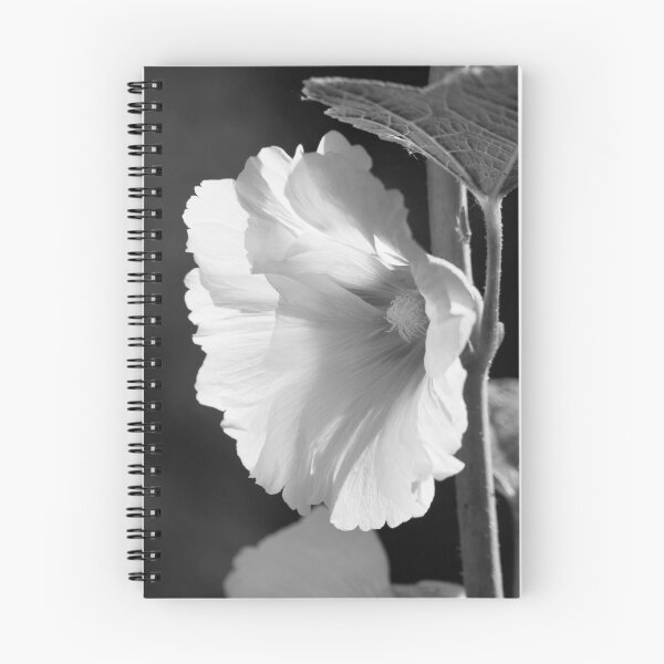 Item preview, Pink hollyhock (square b&w) designed and sold by John Guppy.