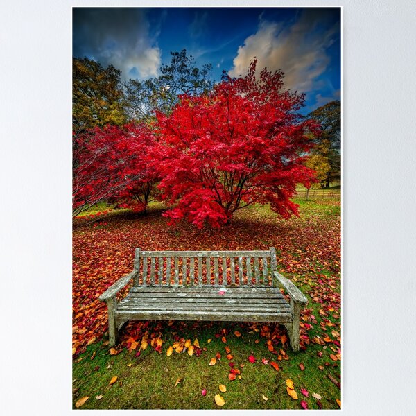 Item preview, Autumn Splendour designed and sold by AJEvans.