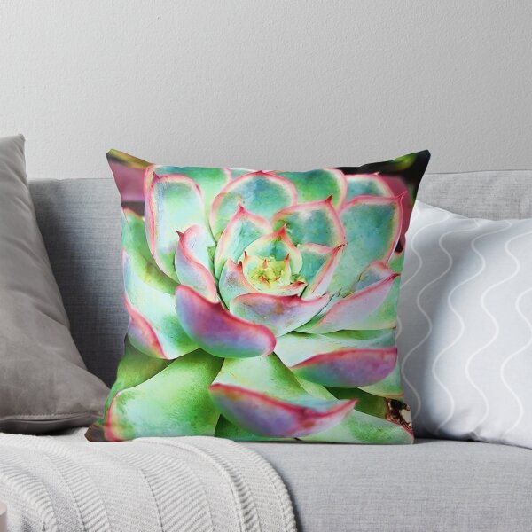 Item preview, Good Vibes Succulent designed and sold by Jessica Manelis.