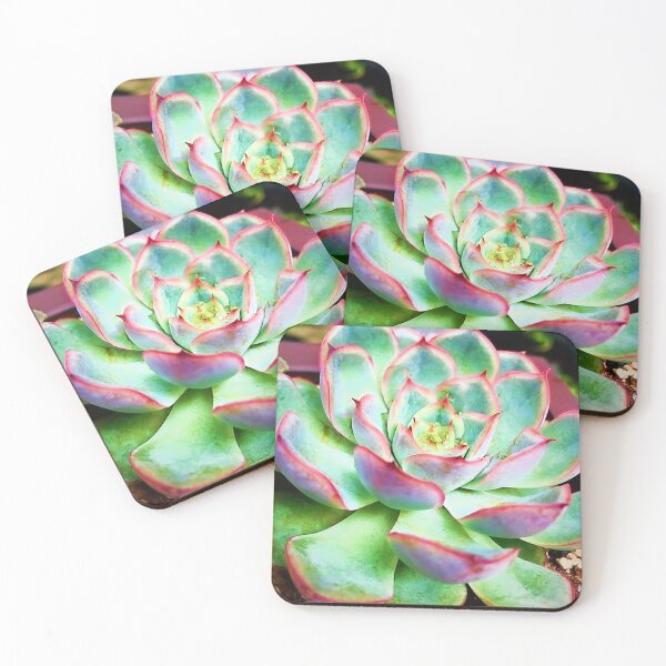 Item preview, Good Vibes Succulent designed and sold by Jessica Manelis.