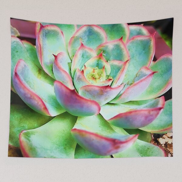 Item preview, Good Vibes Succulent designed and sold by Jessica Manelis.