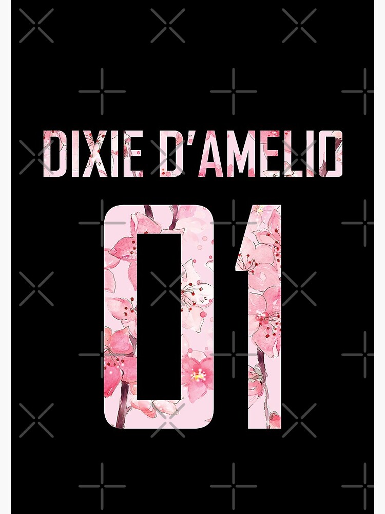 "Dixie Damelio name and birth year number (cherry blossoms pink