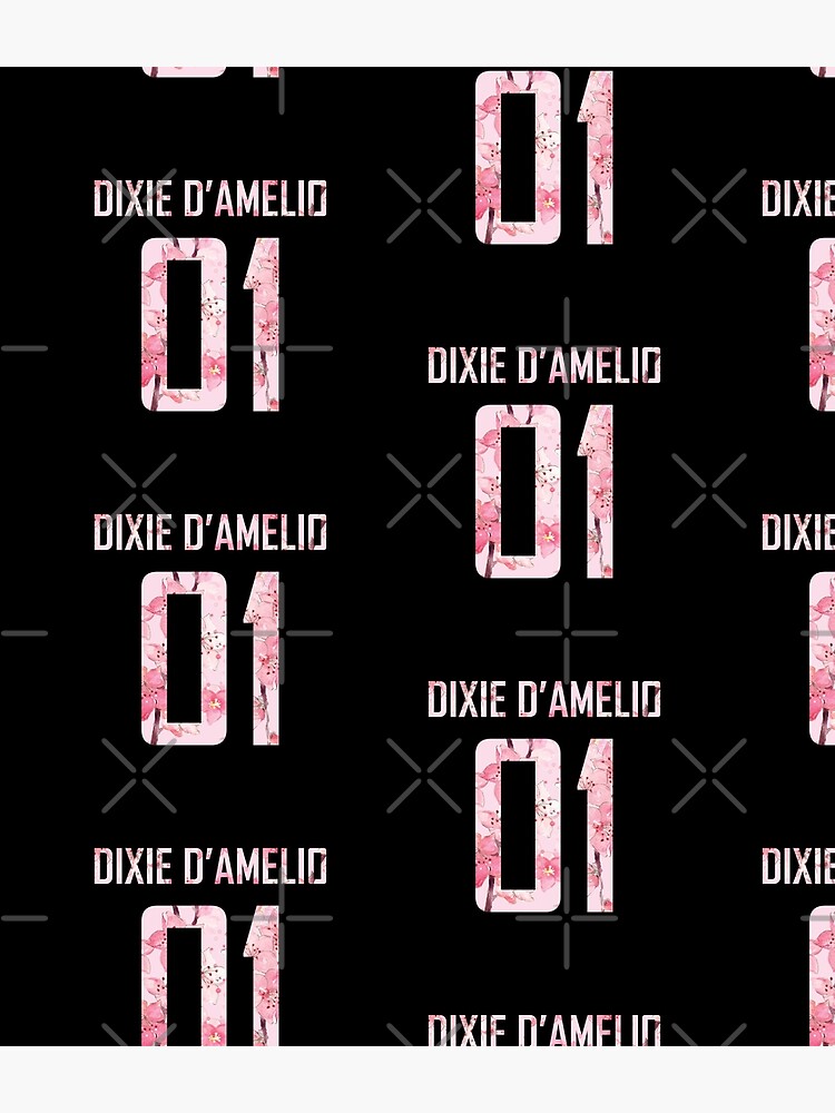 "Dixie Damelio name and birth year number (cherry blossoms pink