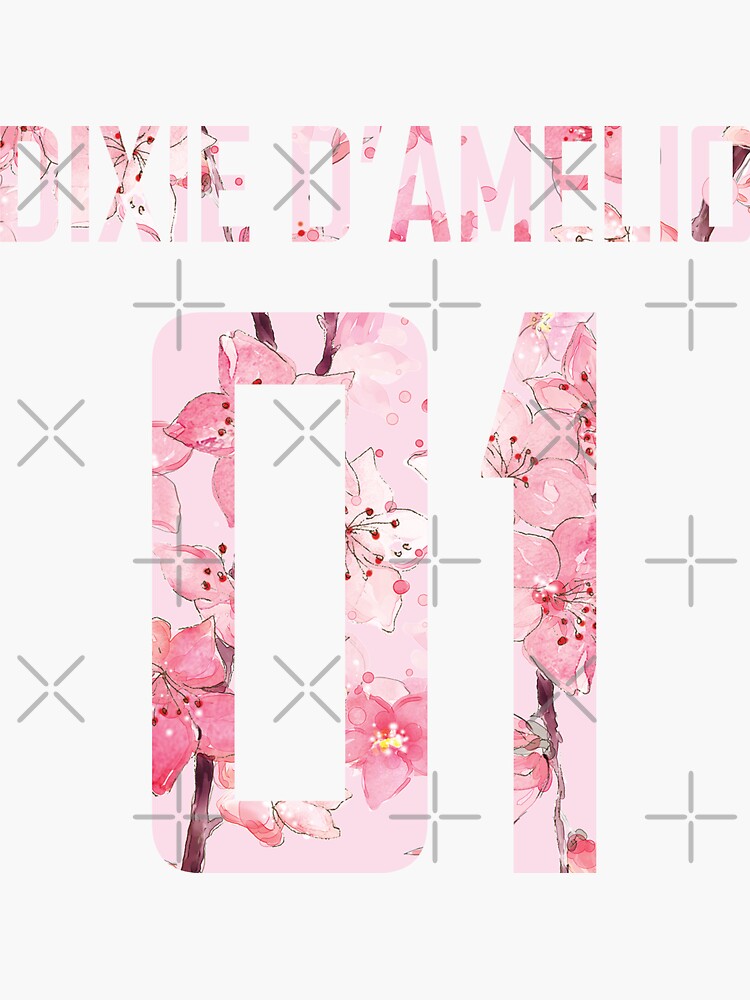 "Dixie Damelio name and birth year number (cherry blossoms pink