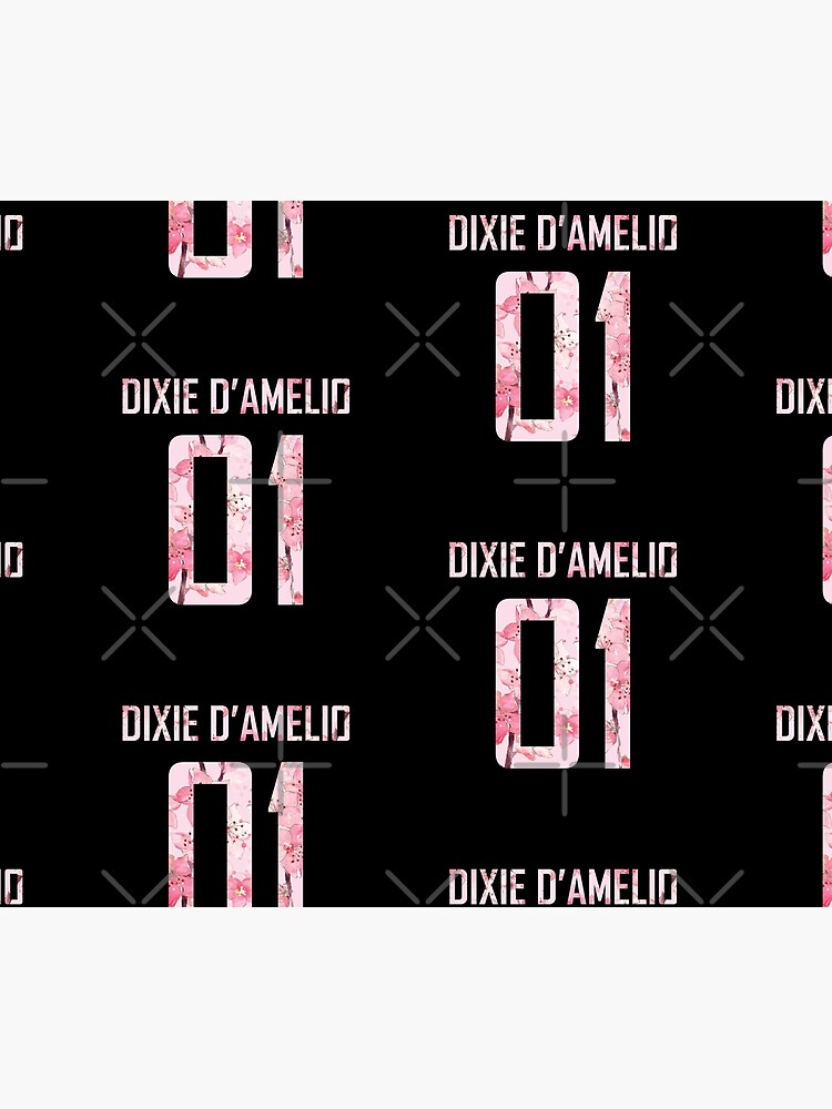 "Dixie Damelio name and birth year number (cherry blossoms pink