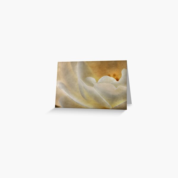 Candlelight rose Greeting Card