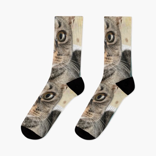 Item preview, Close Up Kitty  designed and sold by Amanda1775.