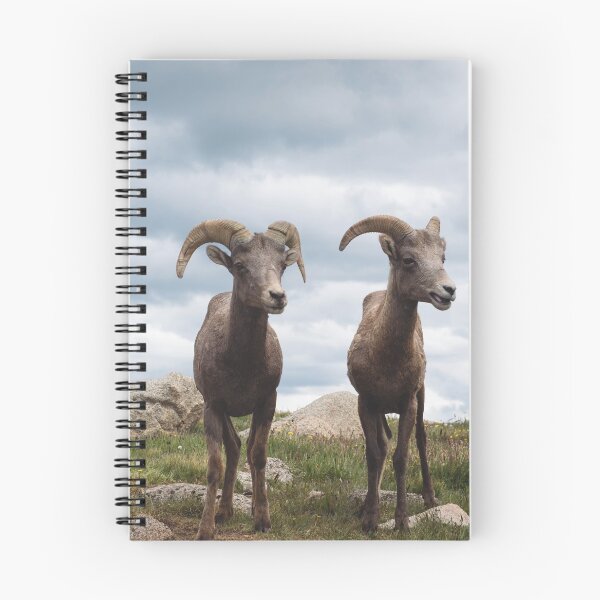 Item preview, Bighorn Sheep designed and sold by DFMY.