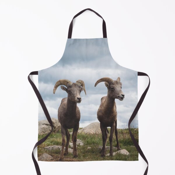 Item preview, Bighorn Sheep designed and sold by DFMY.