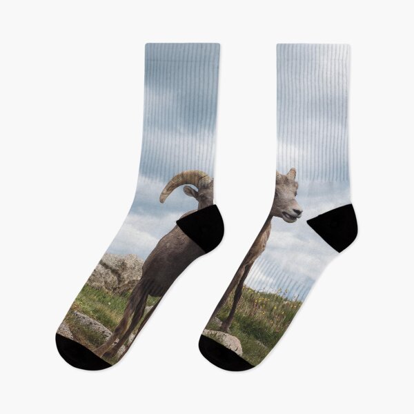 Item preview, Bighorn Sheep designed and sold by DFMY.