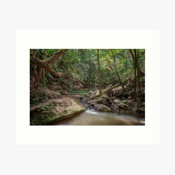 Item preview, Rainforest Stream, Borders National Park designed and sold by Dean Bailey.
