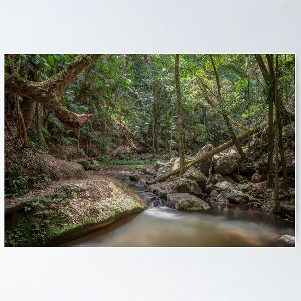Item preview, Rainforest Stream, Borders National Park designed and sold by Dean Bailey.