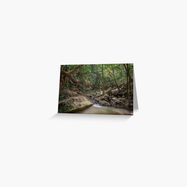 Item preview, Rainforest Stream, Borders National Park designed and sold by Dean Bailey.