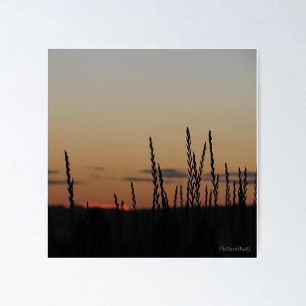 Artikelvorschau, Wunderschöner Sonnenuntergang entworfen und verkauft von Picturethat1.
