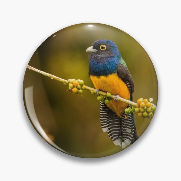 Item preview, Guianan Trogon designed and sold by Faraaz Abdool.