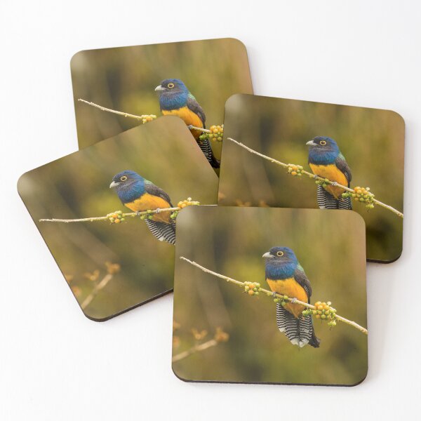 Item preview, Guianan Trogon designed and sold by Faraaz Abdool.