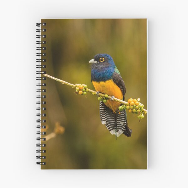Item preview, Guianan Trogon designed and sold by Faraaz Abdool.