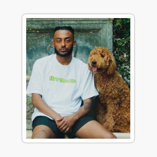 Aminé LIMBO Sticker