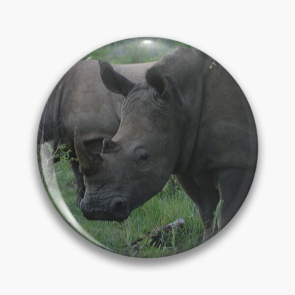 Aperçu de l'œuvre Magnifiques rhinocéros 1 créée et vendue par Dittsim.