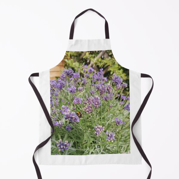 Resting Bumblebee on Lavender Apron