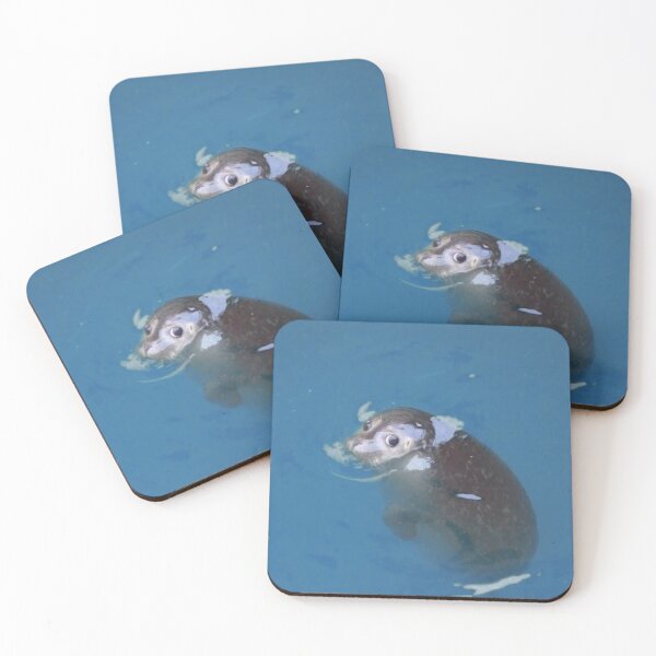 Item preview, Funny Looking Baby Seal Meme designed and sold by 5M-SM.