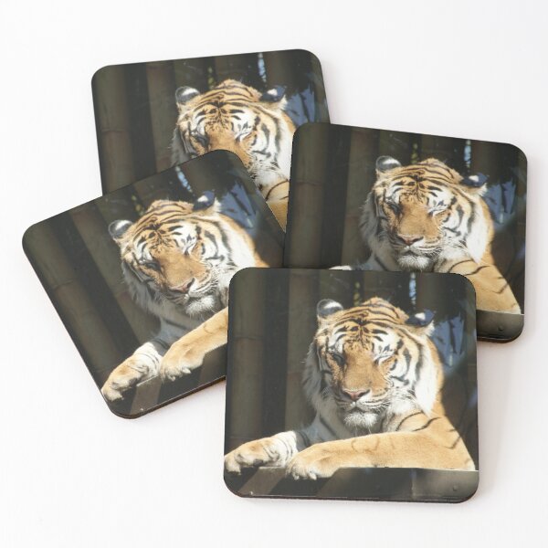 Item preview, Tiger at Busch Gardens, Tampa, FL designed and sold by Monika's Shop.