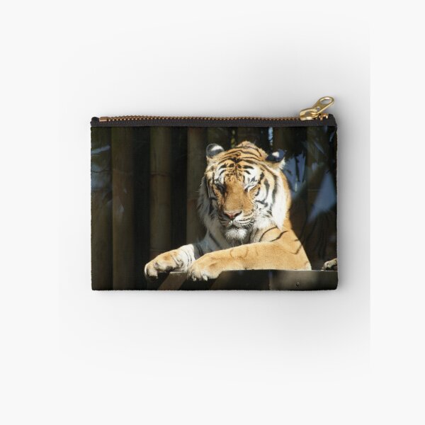 Item preview, Tiger at Busch Gardens, Tampa, FL designed and sold by Monika's Shop.