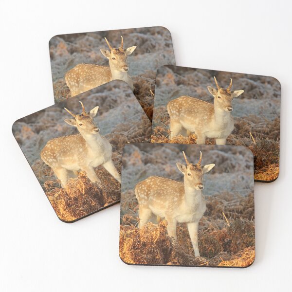 Item preview, Fallow Deer in Winter's Light designed and sold by rltbevan.