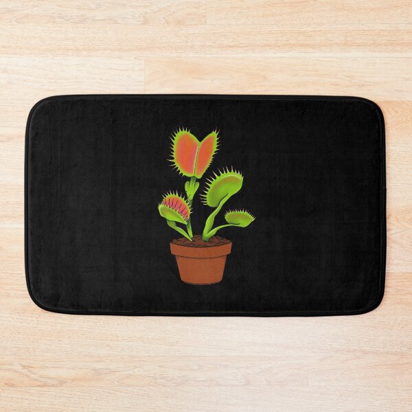 Item preview, Dionaea Muscipula Venus Fly Trap House Plant Gift designed and sold by Carnivorous  Plant Club ⭐⭐⭐⭐⭐.
