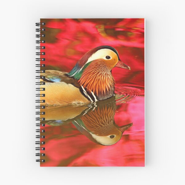 Item preview, Mandarin Duck Reflections designed and sold by rltbevan.