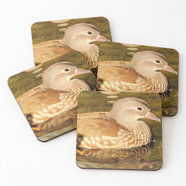Item preview, Female Mandarin Duck designed and sold by rltbevan.