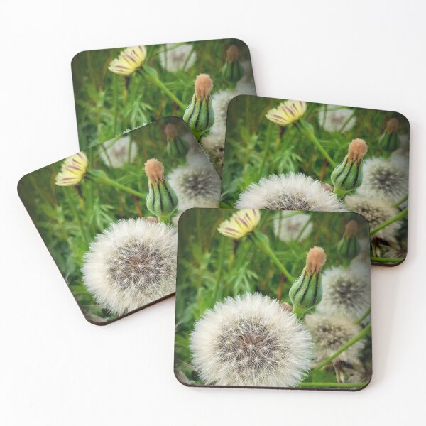 Item preview, Macro zebra dandelion poetry designed and sold by NatureNature.