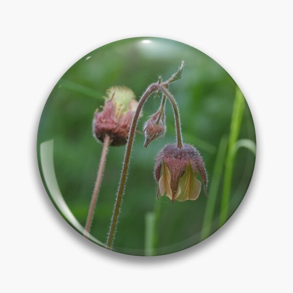 Item preview, flowers Geum Rivale on a long stem designed and sold by mrivserg.