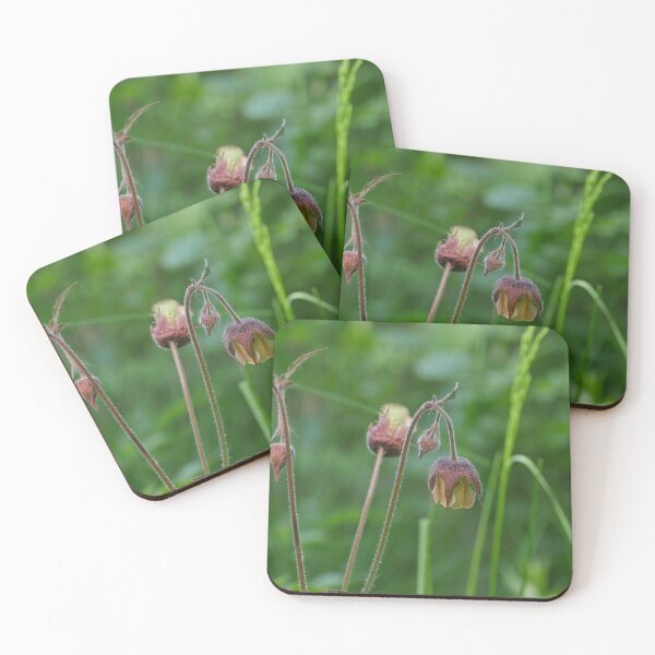 Item preview, flowers Geum Rivale on a long stem designed and sold by mrivserg.
