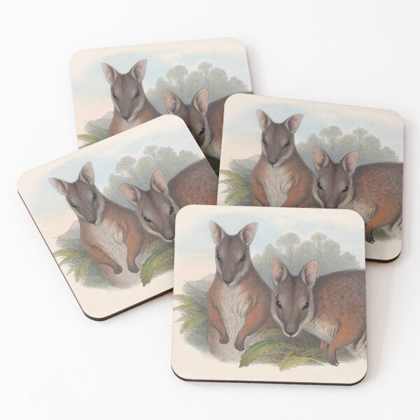 Item preview, Derby's Wallaby - Australian Mammals by Henry Richter designed and sold by TheCurators.