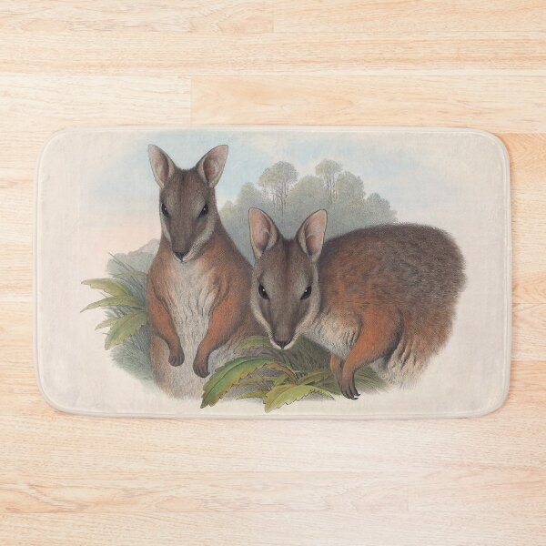Item preview, Derby's Wallaby - Australian Mammals by Henry Richter designed and sold by TheCurators.