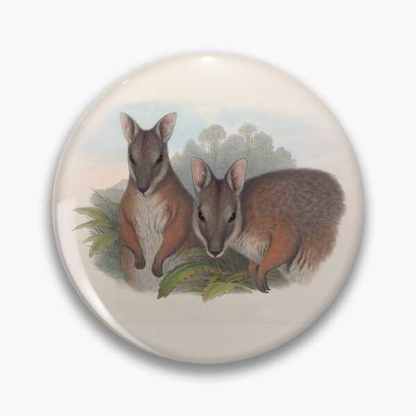 Item preview, Derby's Wallaby - Australian Mammals by Henry Richter designed and sold by TheCurators.