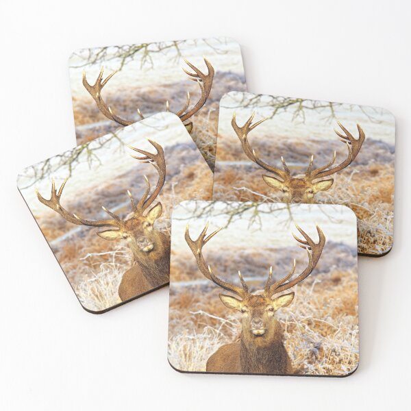 Item preview, Frosty Stag in Richmond Park designed and sold by rltbevan.