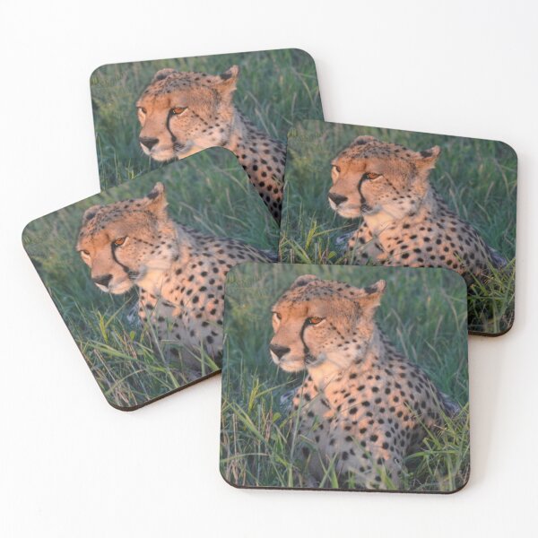 Item preview, African Cheetah (5) designed and sold by CncptulCaptures.