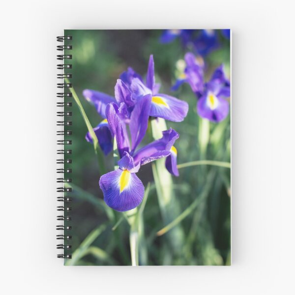 Item preview,  irises on a blurred background lilac with a yellow center on the petals designed and sold by alinalenz.
