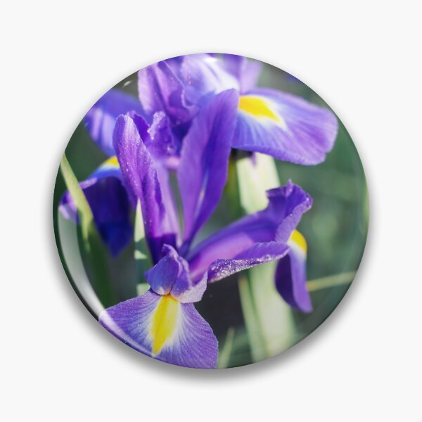 Item preview,  irises on a blurred background lilac with a yellow center on the petals designed and sold by alinalenz.