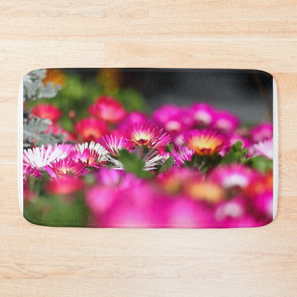 Item preview, Livingstone daisies I designed and sold by GreyFeatherPhot.