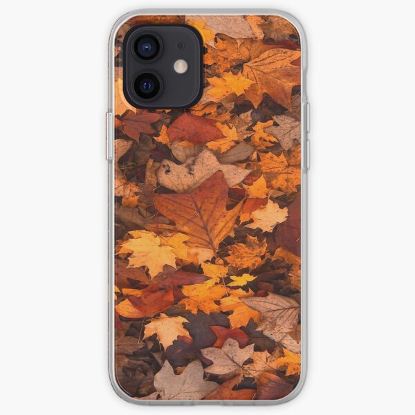 Fall foliage in autumn brown October forest iPhone Soft Case