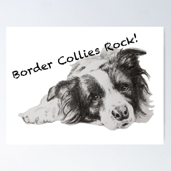 Border Collies Rock Poster