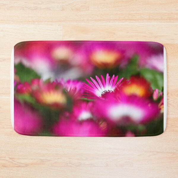 Item preview, Livingstone daisies II designed and sold by GreyFeatherPhot.
