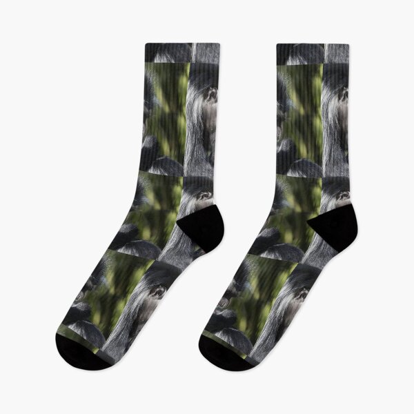 Item preview, Nurturing the Baby Colobus designed and sold by KbytesOfJax Outdoor and Nature.