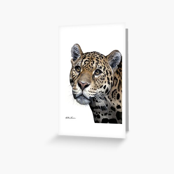 NEW Small Blank Greeting Note Card Beautiful Cheetah Leopard Big Cat Drawing 