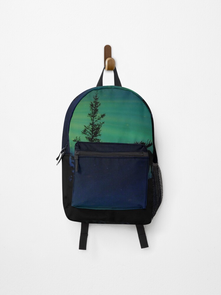 northern lights backpack