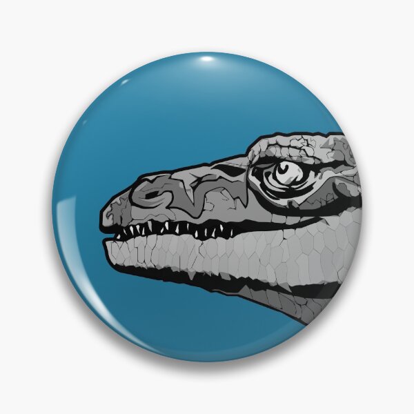 Pin Button